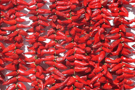 Le village d'Espelette fête le piment le dernier weekend d'octobre