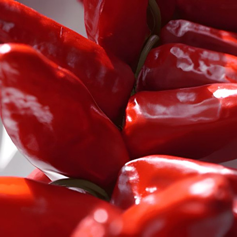 History, culture, recipes: Espelette chilli pepper, the pride of the Basque Country!