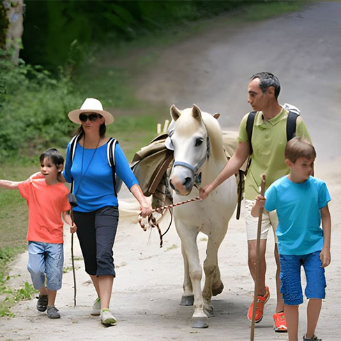 VACANCES EN FAMILLE : 5 activités originales à faire avec les enfants dans le Pays basque