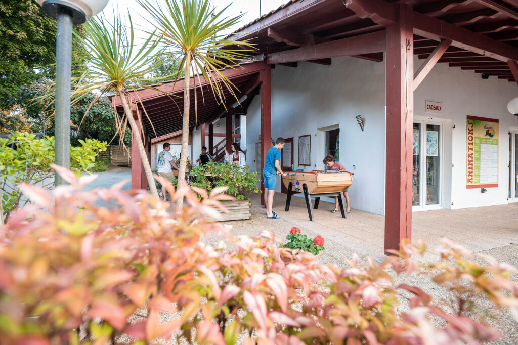 camping biper gorri au pays basque les services