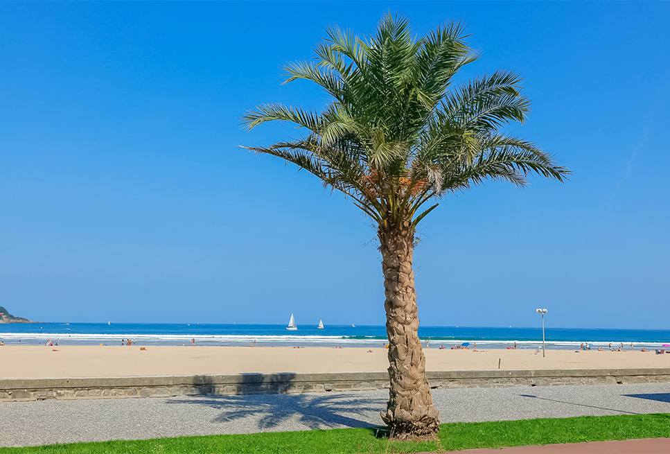 leg je handdoek neer op het strand in hendaye