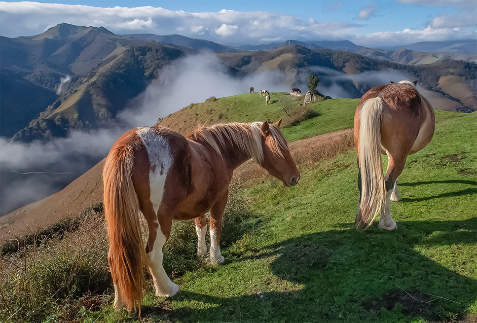 top des randonnees a espelette